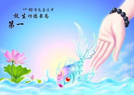 关于规范放生活动的办法