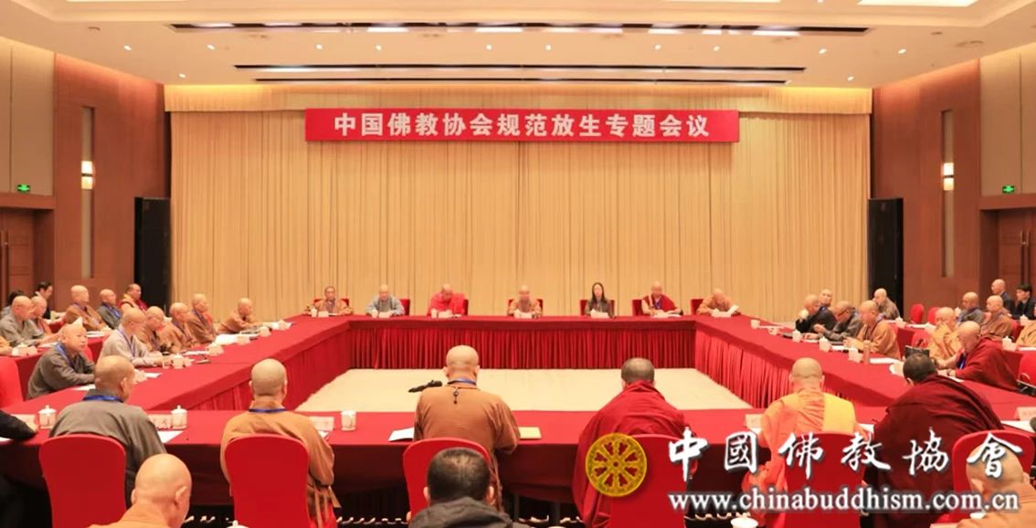 关注|中国佛教协会在京召开规范放生专题会议
